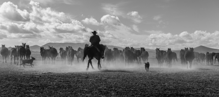 Cowboy on horseback leading a herd of horses across a dusty plain.