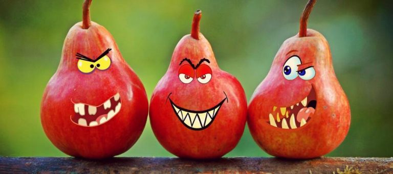 Three pears with funny, angry faces. Rough humor.