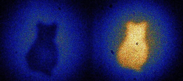 Thermal image showing two objects, one dark and one light, possibly representing contrasting moral viewpoints in a discussion of Marx's theories.